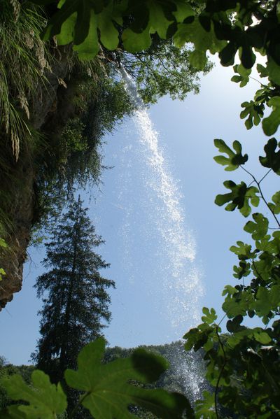 DSC05699