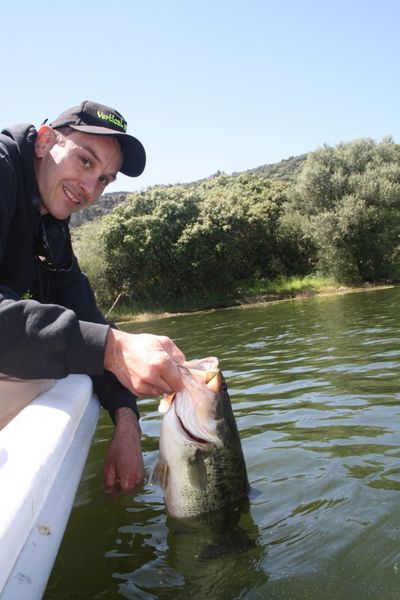 Black bass 56 cm remise