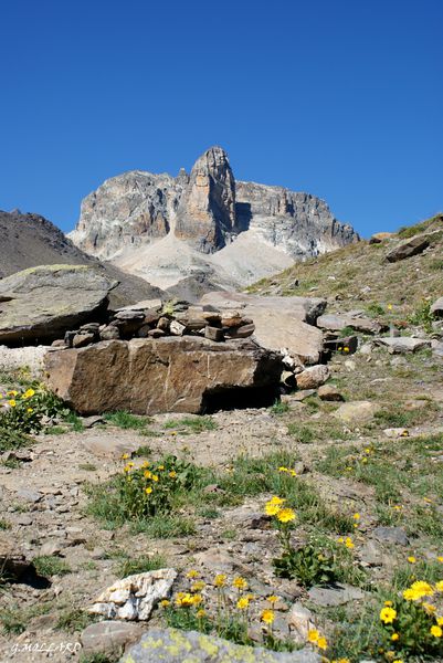 DSC09695.JPG
