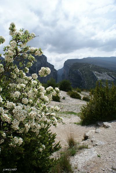DSC02138-copie-1.JPG