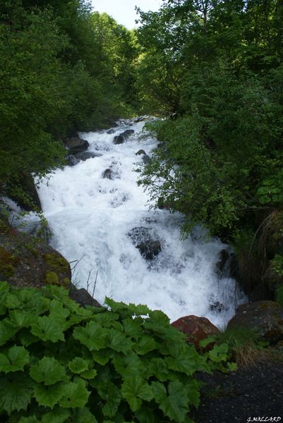 DSC02820