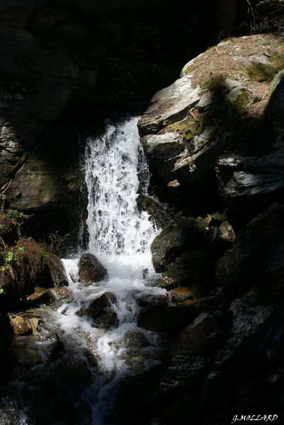 DSC02254.JPG