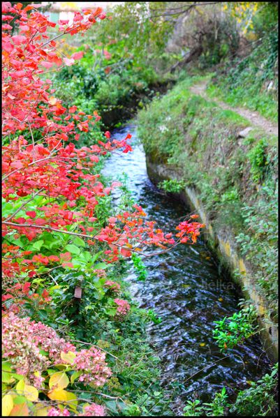 canal--9-.JPG