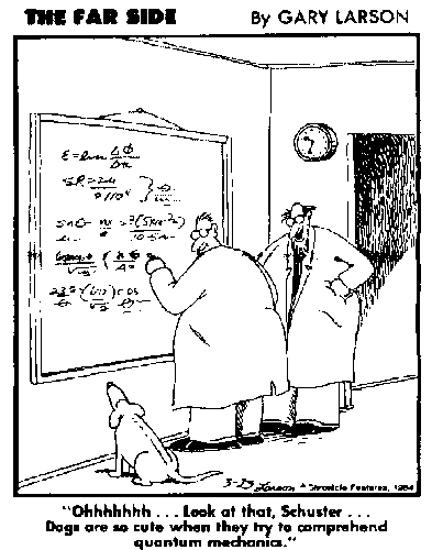 Larson-quantum.gif