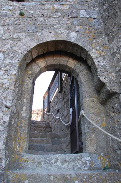 queribus04.JPG