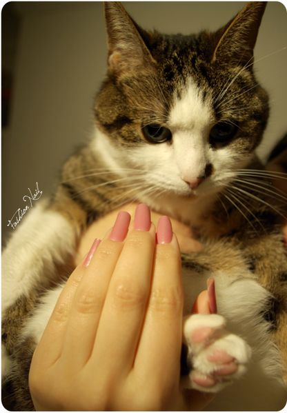 Orly-ArtificialSweetener-9