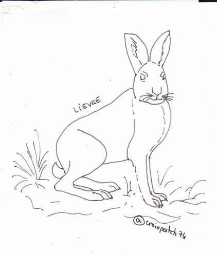 lievre.jpg