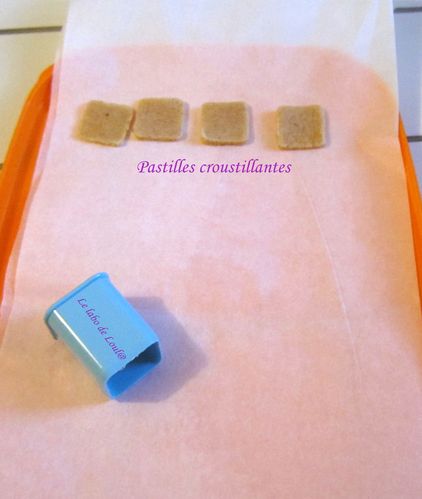 pastilles croustillantes 2