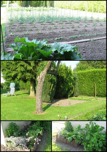 1-jardin