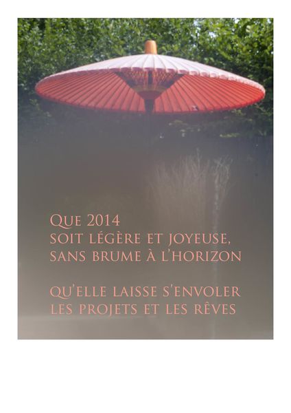 Voeux pour 2014