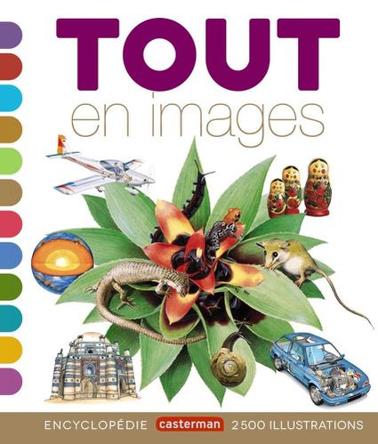 Tout-en-images.jpg