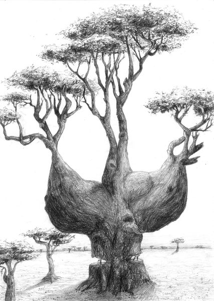 arbre a noé (4)