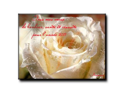 voeux 2011