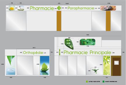 PharmaciePrincipale2