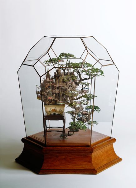 2 Aiba Bonsai-B view21