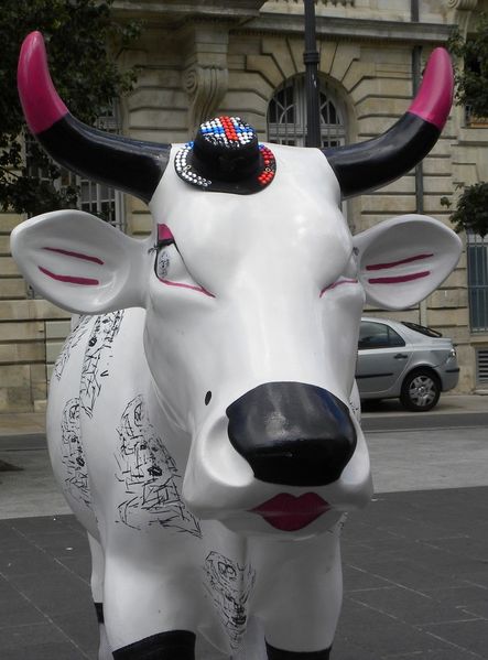cow40