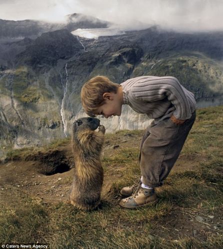 Marmotte 4