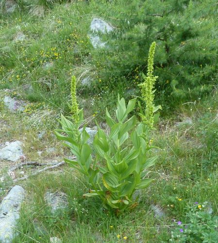 2012-06-27-Lacs de Prasles-006