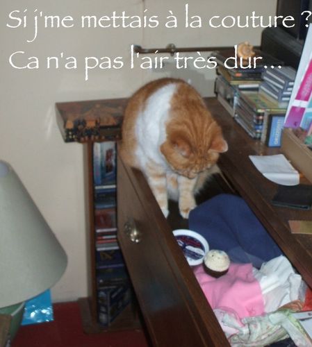 Karann_couture2.JPG