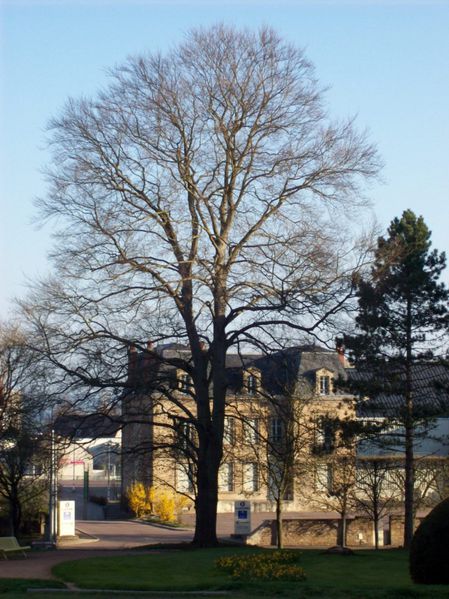 Boulevard Mazagran - 100 5348 (Copier)