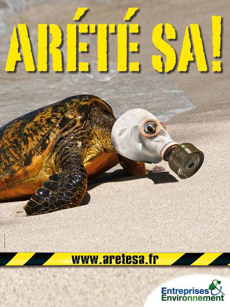 Arete-sa-visuel-tortue-plage.jpeg