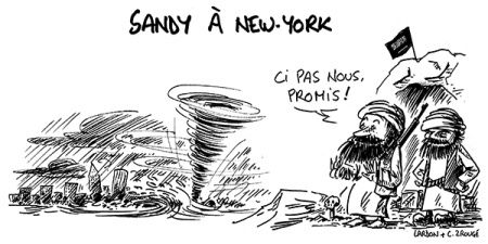 sandy.jpg