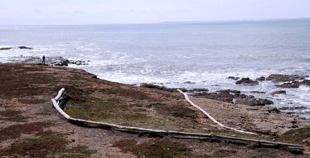 prefailles-pointe-ste-gildas-024.jpg