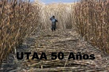 UTAA-50-ANOS.jpg