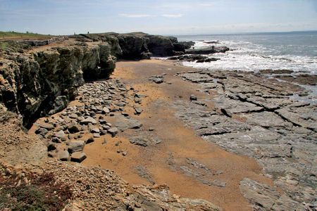 prefailles-pointe-ste-gildas-027.jpg