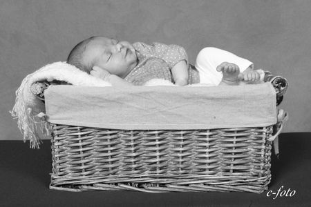 photographe maternité bébé eure famille bébé -copie-2