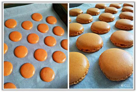 macarons-AA.jpg