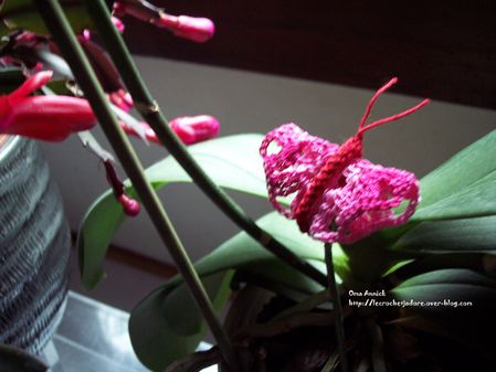 mini-papillon-roserouge-crochet-decoration
