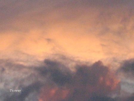Img_1136.jpg