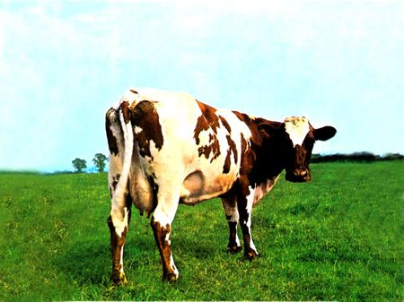 warhol-pink-floyd-s-atom-heart-mother-album-cover-design-98