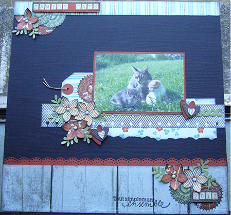 family cats1