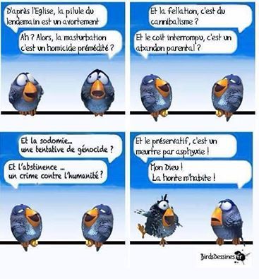 Les-zoizeaux.jpg