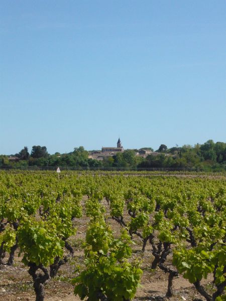 Saint-Drézéry façon Force tranquille