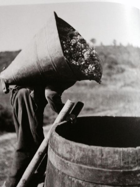 Bourgogne3.jpg