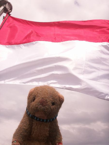 PICT0317.jpg