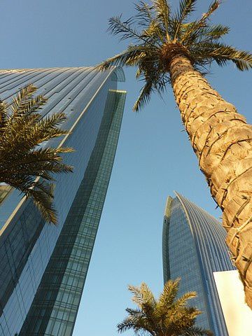 Dubai (175)