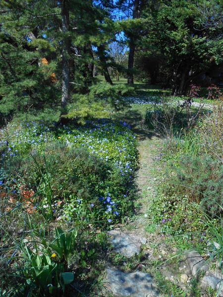 au jardin Mars 2014 001