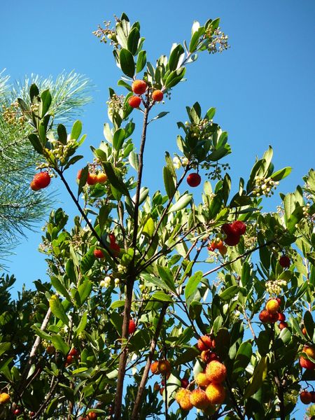 P1080093