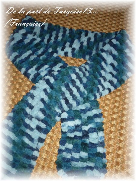 swap hiver josy catjusi 002