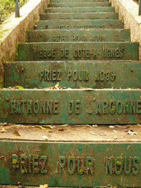 P1020416-copie-1.JPG