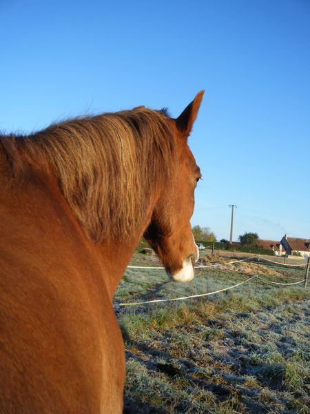 DSCF5916.JPG