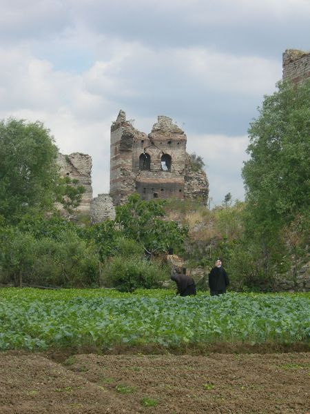 DSCN5093