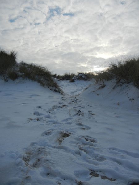 givre-et-neige-dans-les-dunes-036--2-.jpg