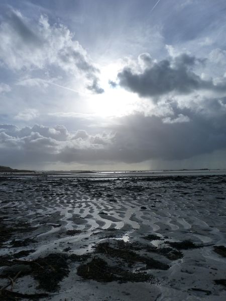 ile-Tariec-Landeda-fevrier-2014--31-.JPG