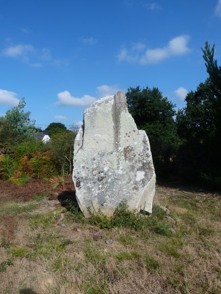 Menhir-de-Kerangoff--5-.JPG