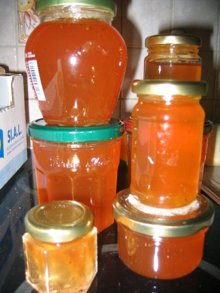 002-copie-25.JPG